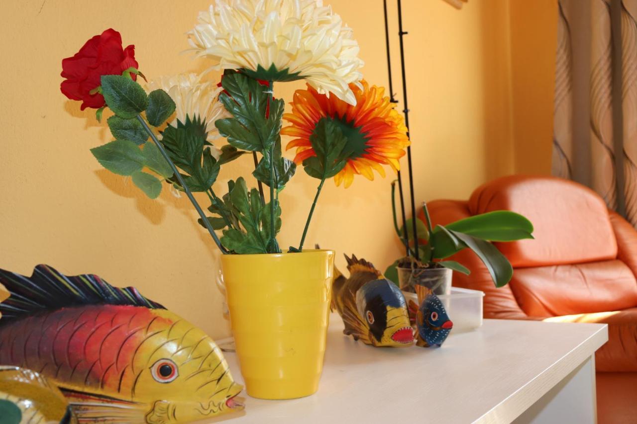 Apartmán Casa Andreea Vicino Al Centro Di Olbia Iun R5904 Exteriér fotografie